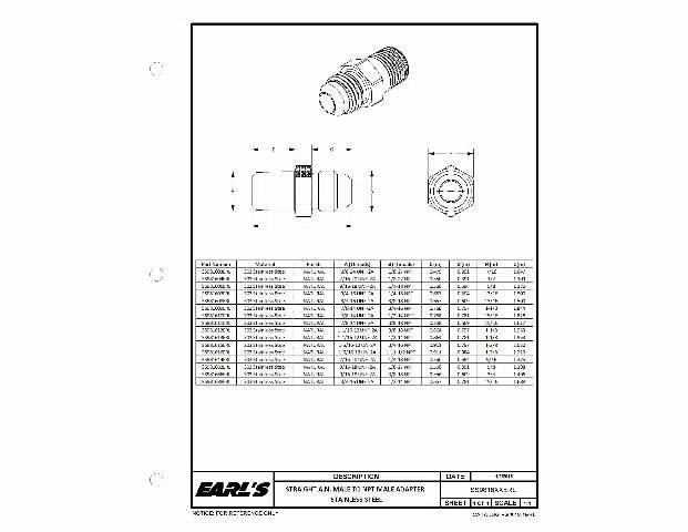 Earls Straight Male AN -8 to 3_8 NPT - SS981608ERL